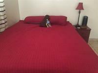 Apartamento Ministay Astoria Steinway